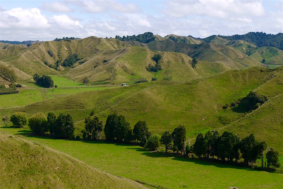 Blick in die Hügellandschaft am Strathmore Saddle - Forgotten World Highway - Neuseeland Nordinsel