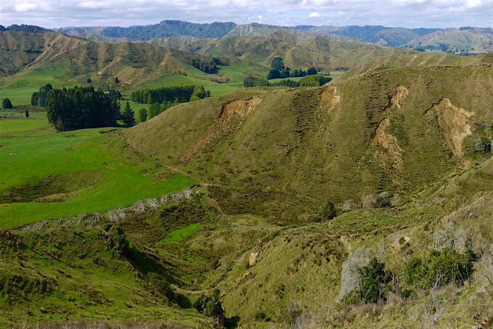 Täler & Hügel beim Strathmore Saddle - Forgotten World Highway - Neuseeland Nordinsel