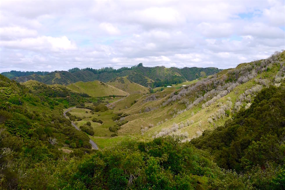 Blick vom Pohokura Saddle - Forgotten World Highway - Neuseeland Nordinsel