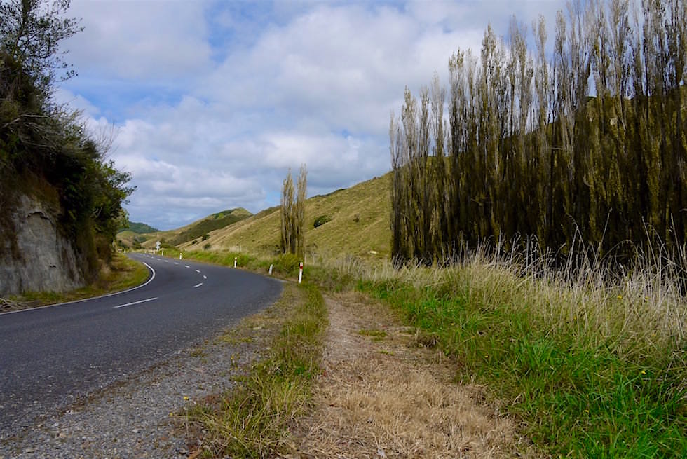 State Highway 43 - Forgotten World Highway - Neuseeland Nordinsel