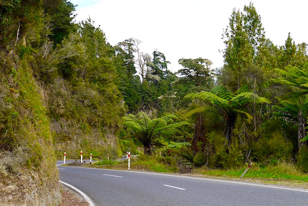 Beim Lookout Whangamomona Saddle - Forgotten World Highway - Neuseeland Nordinsel