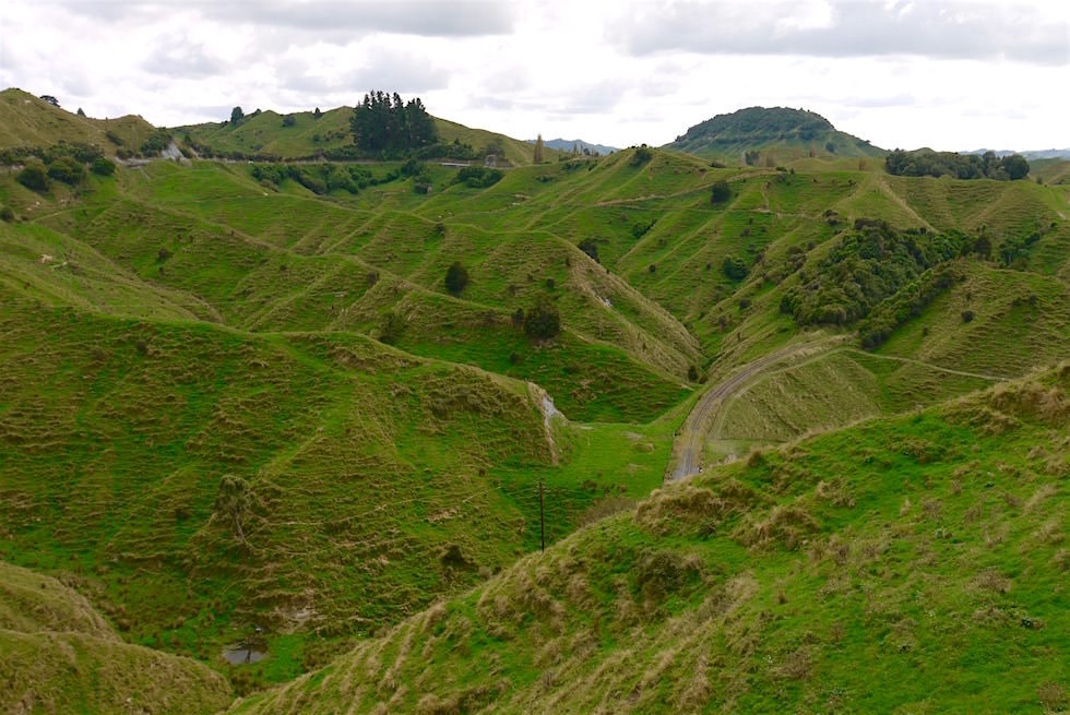 Tahora Saddle - Forgotten World Highway - Neuseeland Nordinsel