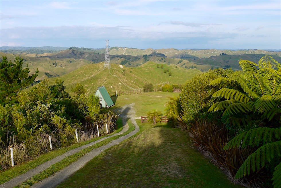 Campingplatz des Back Country Accomondation - Forgotten World Highway - Neuseeland Nordinsel