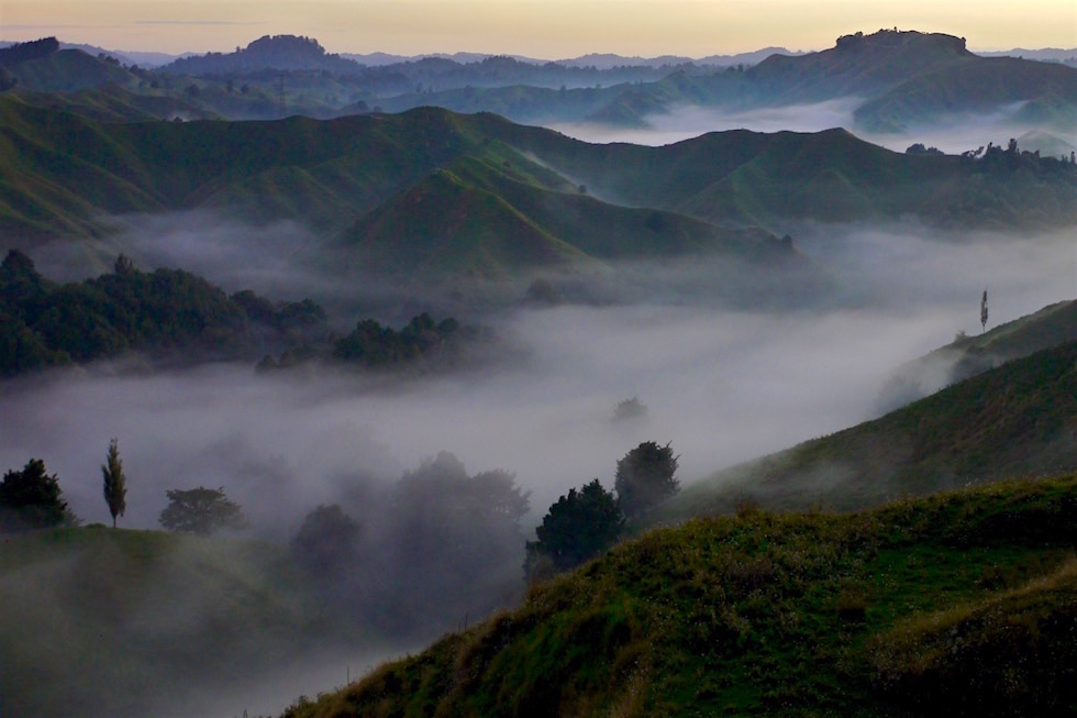 Morgennebel - Forgotten World Highway - Neuseeland