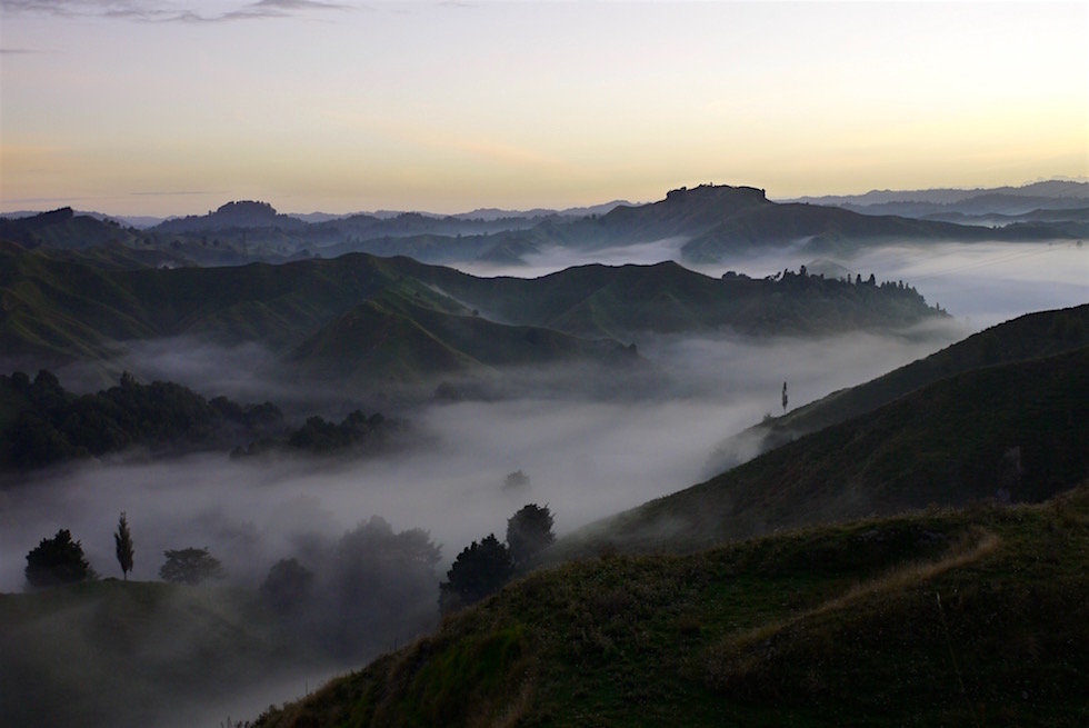 Early Morning - Forgotten World Highway - Neuseeland Nordinsel