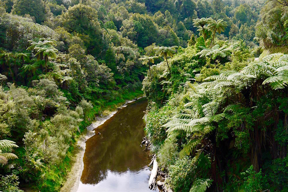 Tangarakau River - Forgotten World Highway - Neuseeland Nordinsel