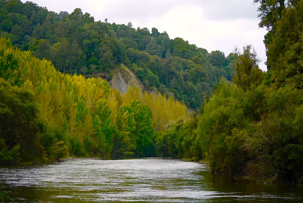 Ongarue River - Forgotten World Highway - Neuseeland Nordinsel