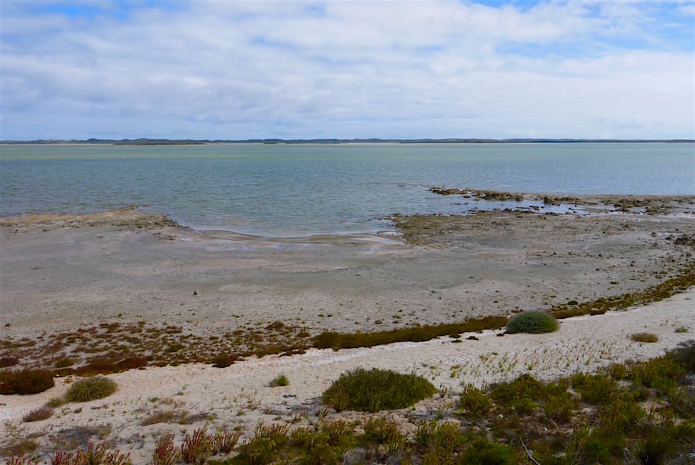 Spaziergang zu den Pelican Islands - Salt Creek - South Australia