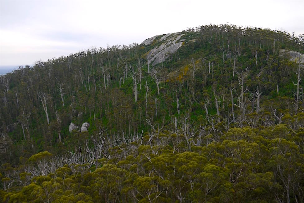 Ausblick - Granite Skywalk - Porongurup National Park - Western Australia