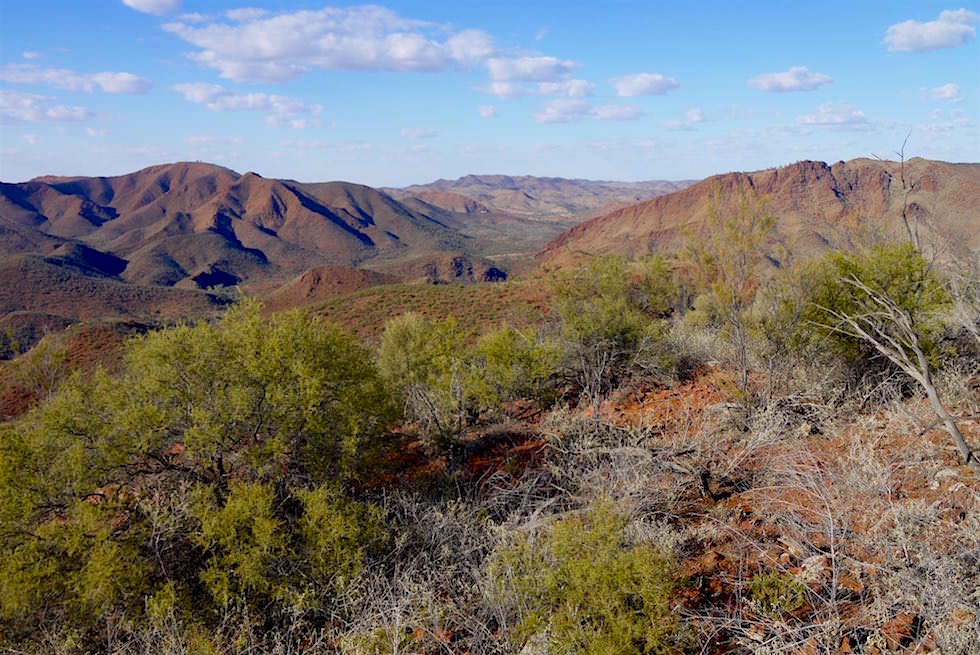 Typische Farben, Landschaft & Büsche auf der Ridge Top Tour - Arkaroola - South Australia