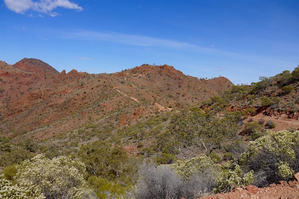 Blick zurück auf die Piste der Ridge-Top Tour über die Flinders Ranges - Arkaroola - Southern Australia