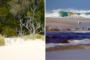Überwältigende Yeagarup Sanddünen & Gigantische Karri Wälder – Beach & Forest 4WD Adventure!