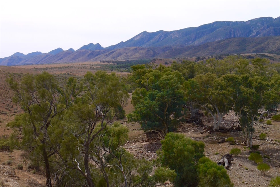 Brachina Lookout - Rawnsley 4WD Tour - Ikara-Flinders Ranges - South Australia