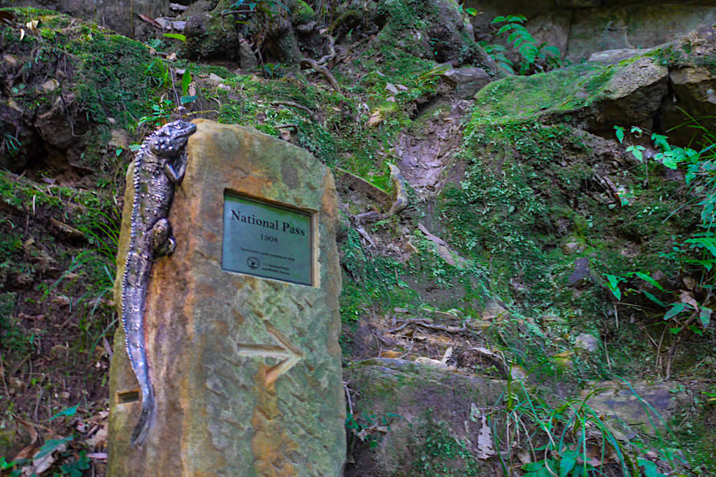 National Pass - Wandern in den Blue Mountains - New South Wales