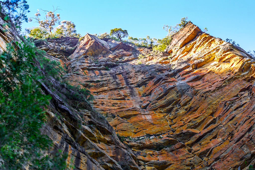 Faszinierende steile, rote Sandsteinwande sind eines der Highlights auf der Blue Mountains Wanderung - New South Wales