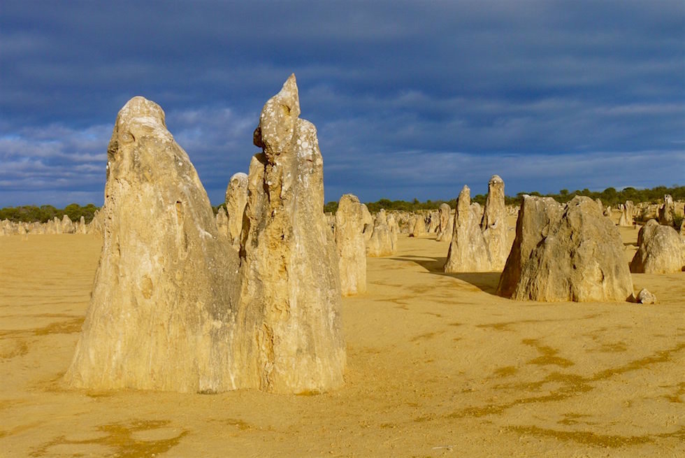 Versteinertes Heer - Surreale Felsskulptur - Nambung National Park - Western Australia