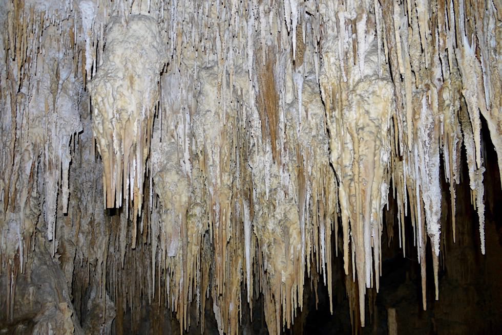 Stalaktitenwand in der Crystal Chamber - Mammoth Cave eine der großen Margaret River Caves - Western Australia