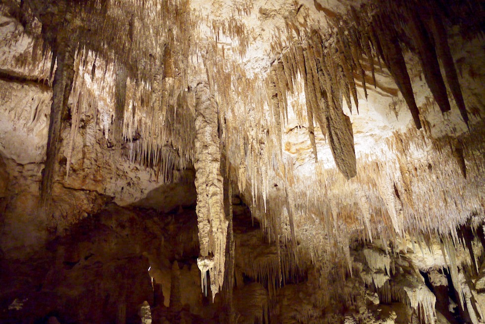 Stalaktiten der Kristall Kammer - Crystal Chamber - Mammoth Cave - Margaret River Caves - Western Australia
