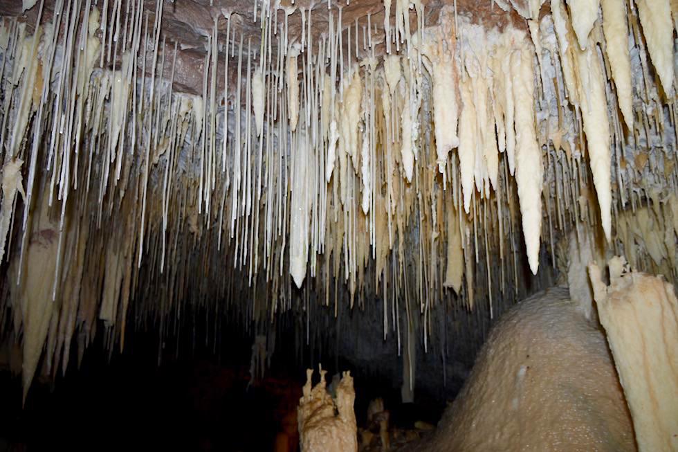 Margaret River Caves - Sinterröhrchen, Makaroni oder "Straws" an der Decke von Lake Cave - Drachen - Western Australia