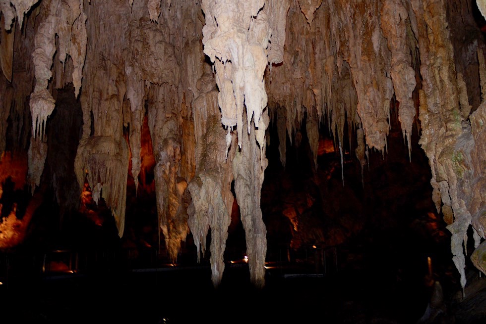 Stalaktiten in der Main Chamber - Mammoth Cave - Margaret River Caves - Western Australia
