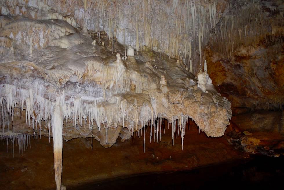 Margaret River Caves: Der Drachen von Lake Cave - Western Australia
