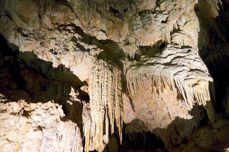 Margaret River Caves Road: Lake Cave, Mammoth Cave, Ngilgi Cave - die