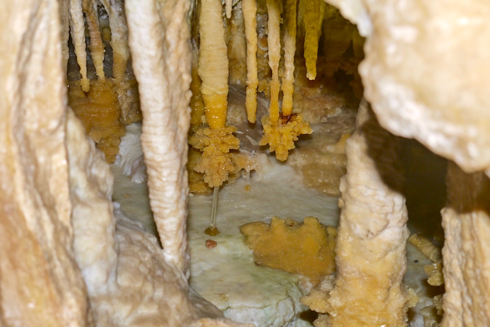 Sensationelle Stalaktiten Struktur & eines der Highlights in der Ngilgi Cave - eine der Margaret River Caves - Western Australia