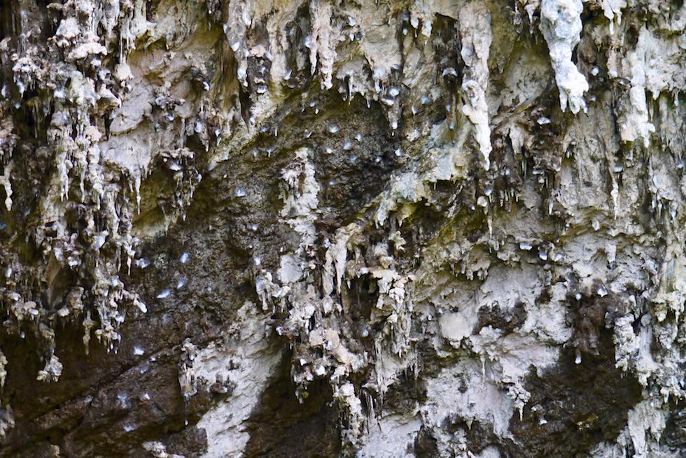Seltsame Spinnennetze an der Tropfsteinhöhlen-Decke - Margaret River Caves - Lake Cave -Western Australia