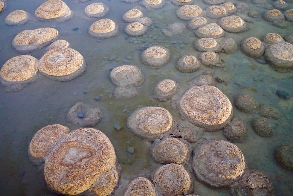 Lake Clifton - Thromboliten auch Lebende Steine genannt - Western Australia