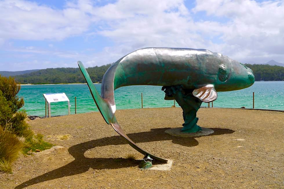 Bronze Skulptur Südkapper Wal oder Southern Right Whale - Cockle Creek - Tasmania
