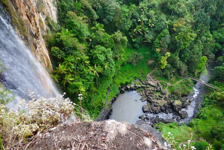 Springbrook National Park - Atemberaubender Ausblick auf die Purling Brook Falls - Queensland