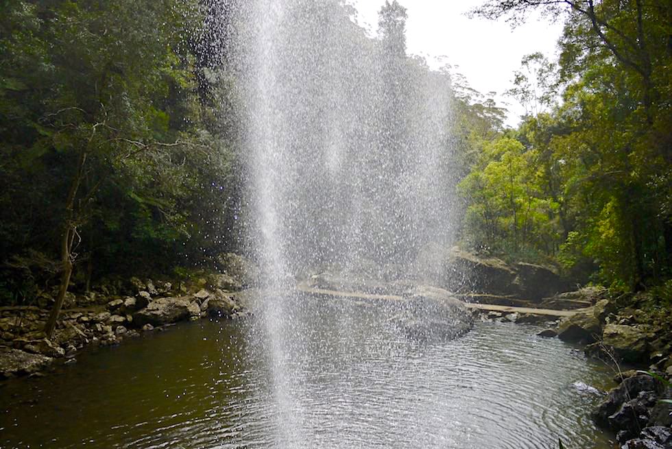 Ausblick hinter dem Wasserfall-Vorhang - Twin Falls Wanderung - Springbrook Plateau im Springbrook National Park - Queensland