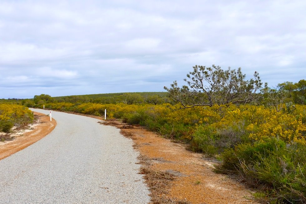 Eine Scenic Route führt durch Lesueur National Park - Western Australia