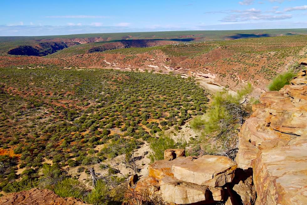 Faszinierender Blick in Richtung Norden vom West Loop Lookout gesehen - Kalbarri National Park - Western Australia