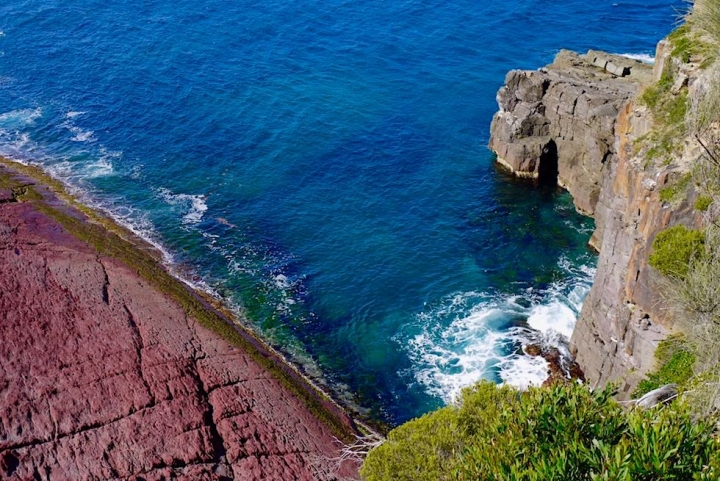 Ben Boyd National Park - Farbexplosion & Natur von ihrer schönsten Seite: Pulpit Point Lookout - Saphire Coast - New South Wales