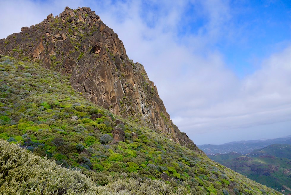 Roque Grande Wanderung - Wildblumenhänge & Großer Fels - Valsequillo - Gran Canaria