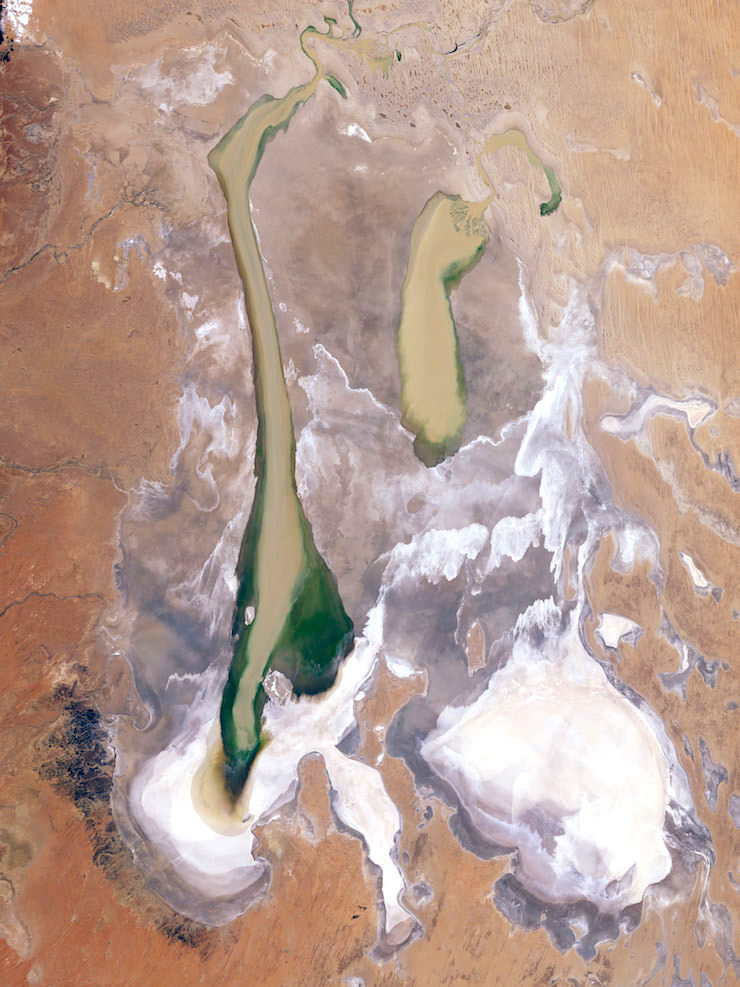 Wasserstabd Lake Eyre März 2009 - NASA - South Australia