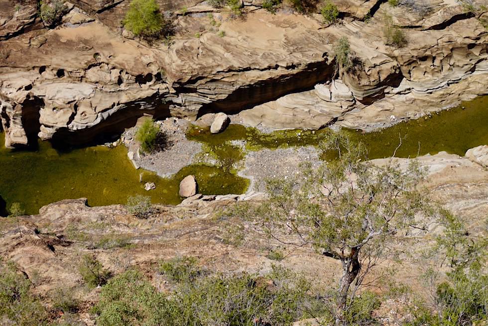 Porcupine Creek - Lookout: nur Wasserrinnsal in der Trockenzeit - Outback Queensland