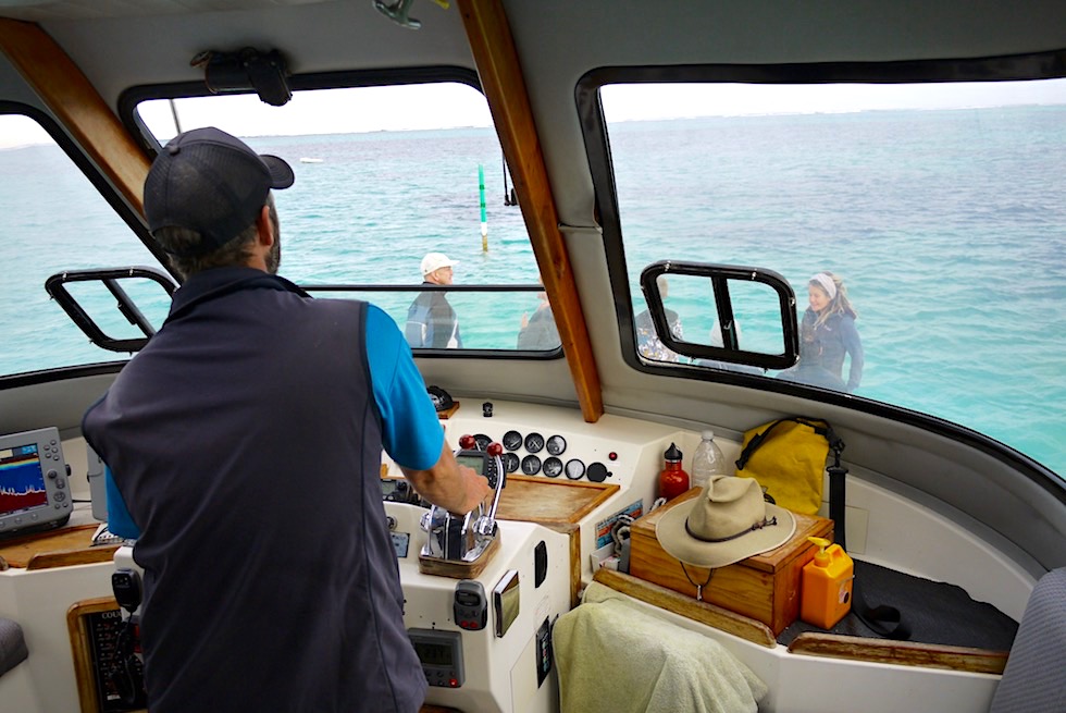 Coral Bay Eco Tours - Whale Shark Boat - Ningaloo Reef - Western Australia