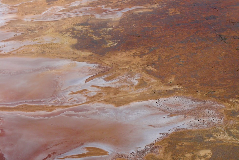 Lake Frome - Uferbereich: roter Lehm trifft aus weiße Salzkristalle - Arkaroola - South Australia