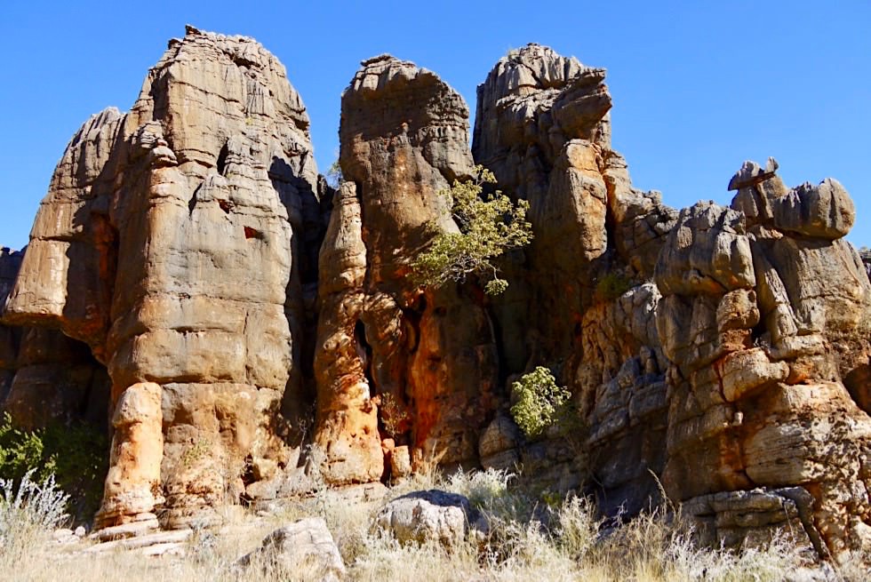 Mimbi Caves Aboriginal Tour - bizarre Kalksteinformationen & Schlucht - Kimberley - Western Australia