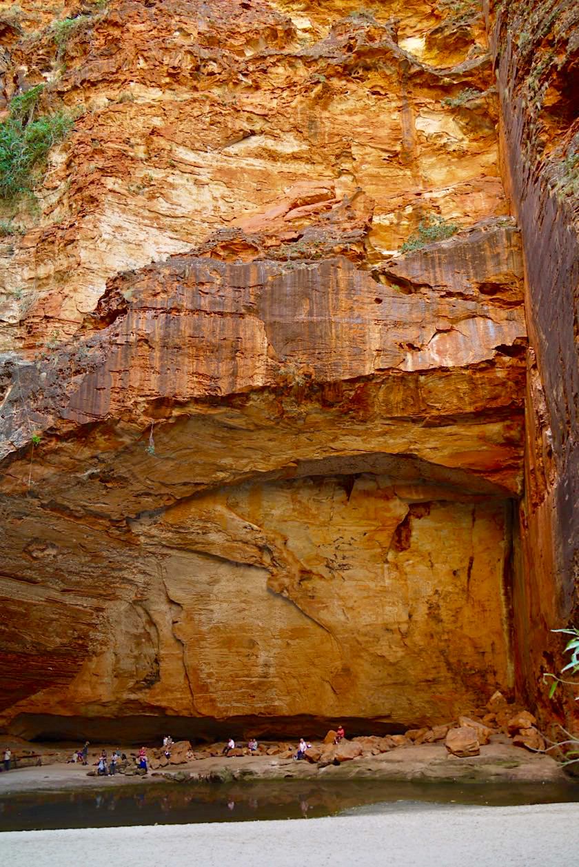 Die imposanten, mächtigen Felswände der Cathedral Gorge - Purnululu National Park - Kimberley, Western Australia