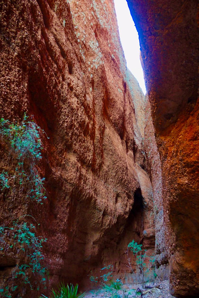 Echidna Chasm - noch breiter Eingang & Steilwände - Bungle Bungles - Kimberley, Western Australia