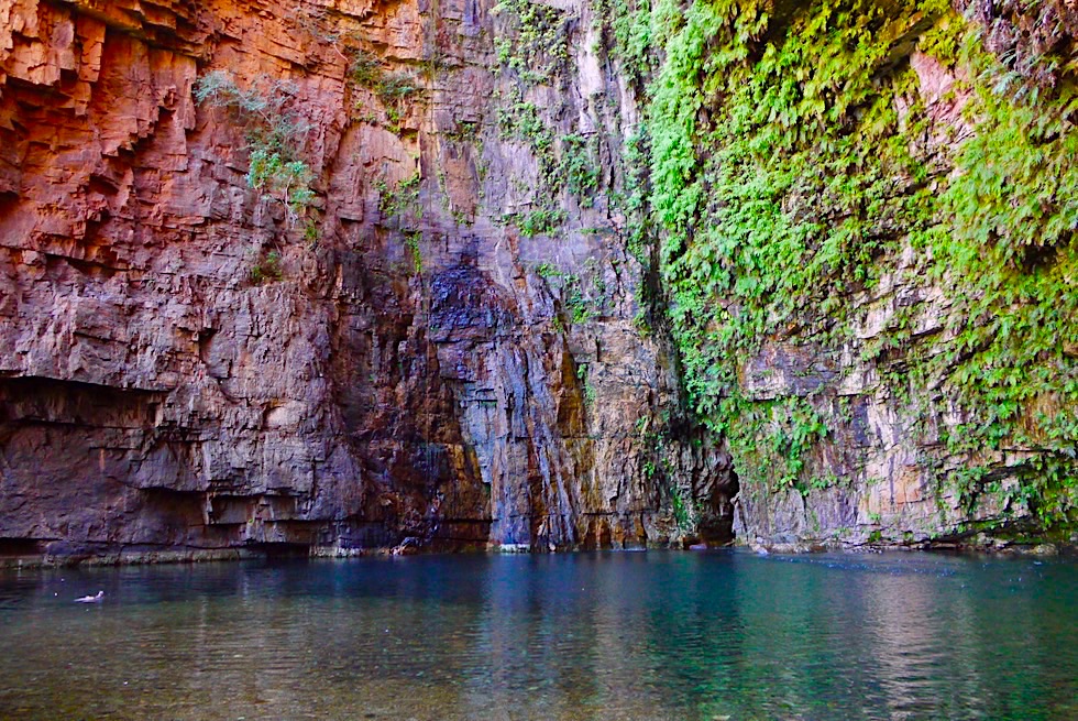 Emma Gorge & Wanderung - Schwimmen in der Schlucht - Kimberley - Western Australia