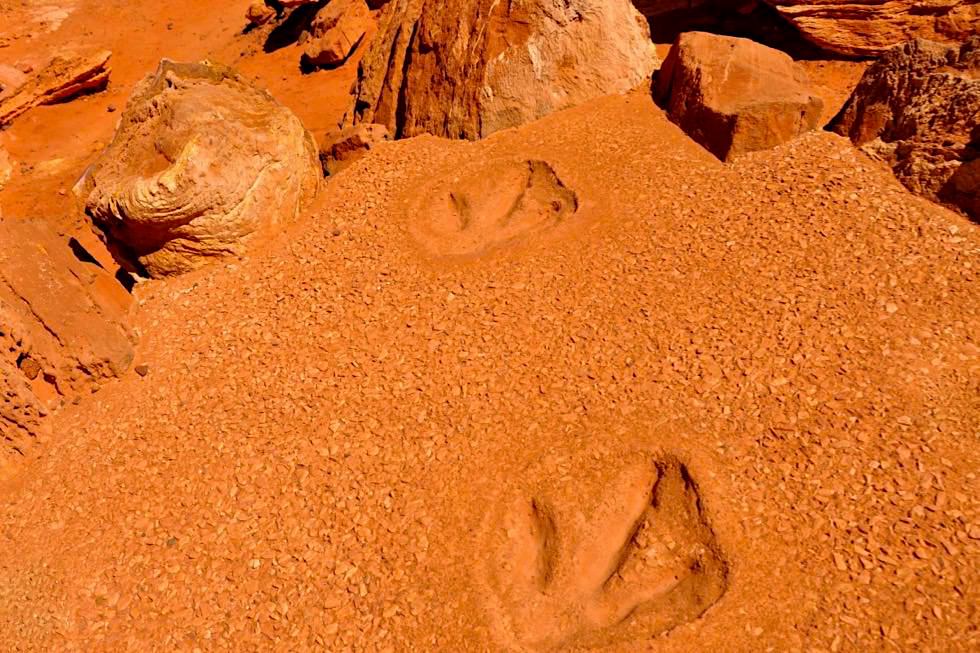 Gantheaume Point - Dinosaurier Fuß-Abdrücke - Broome, Kimberley - Western Australia