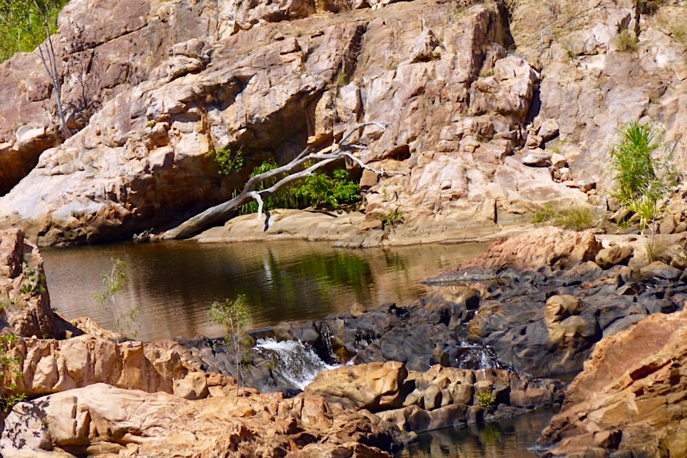 Lelyin Edith Falls - Spaßige Felskletterei um den Upper Pool & Edith River herum - Nitmiluk National Park - Northern Territory