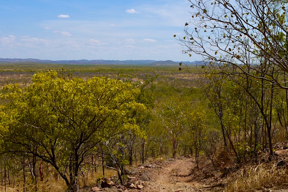 Edith Falls - Leliyn Loop Walk Start & Blick zurück - Nitmiluk National Park - Northern Territory