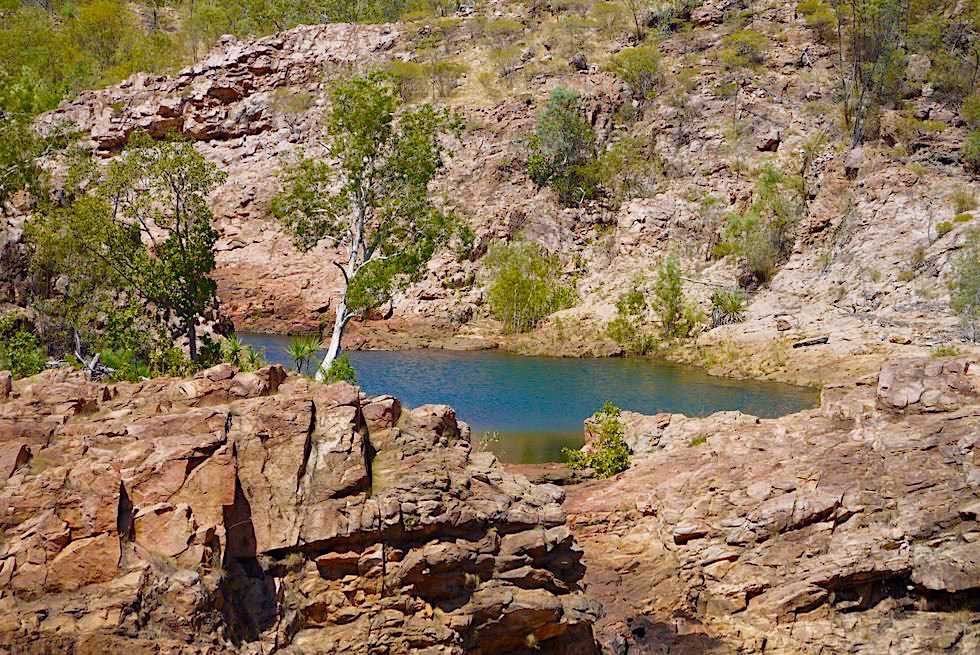 Edith Falls - Upper Pool lädt zu Felsklettereien ein - Nitmiluk National Park - Northern Territory
