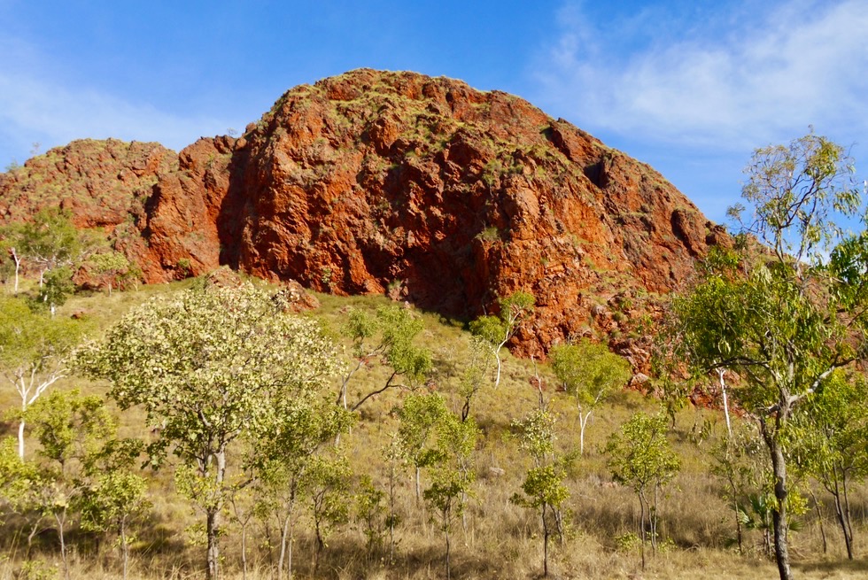 Jarnem Loop Walk: Wandern durch Felsen- & Hügellandschaft - Keep River National Park - Northern Territory