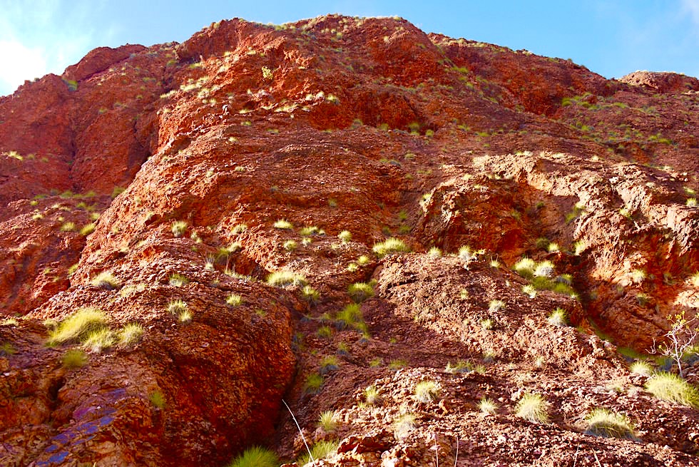Keep River National Park - Felswand gesprenkelt mit Spinnifex Grasbüscheln - Northern Territory
